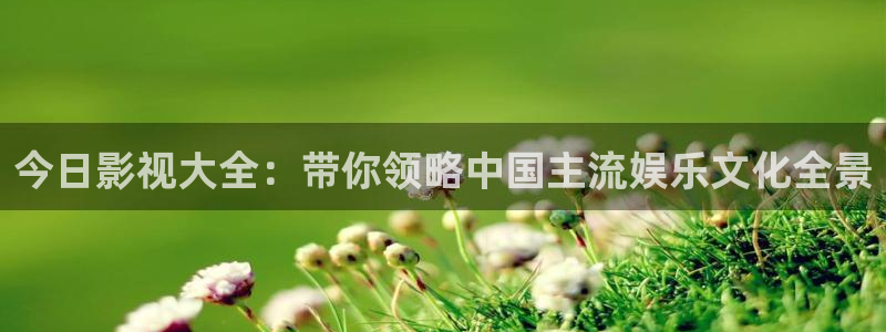 光棍影院111yy：今日影视大全：带你领略中国主流娱乐文化全景