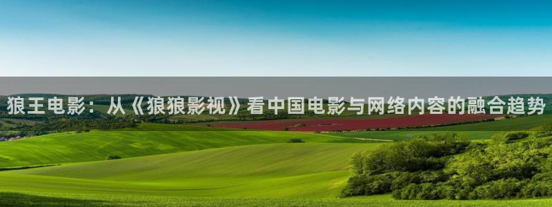 光棍手机影院2023：狼王电影：从《狼狼影视》看中国电影与网络内容的融合趋势