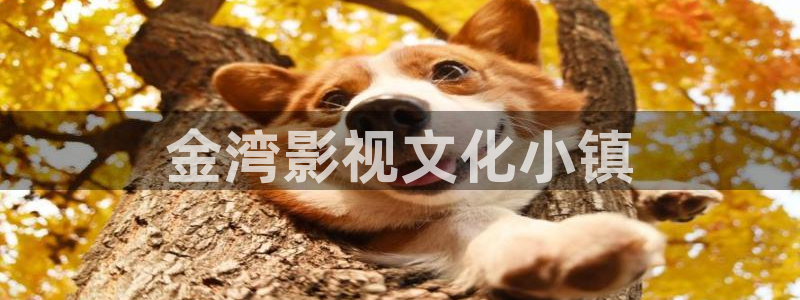光棍影院手机免费在线观看：金湾影视文化小镇