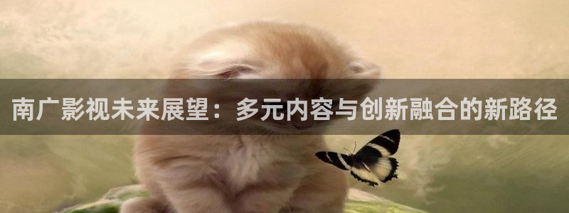 神马老光棍影院：南广影视未来展望：多元内容与创新融合的新路径