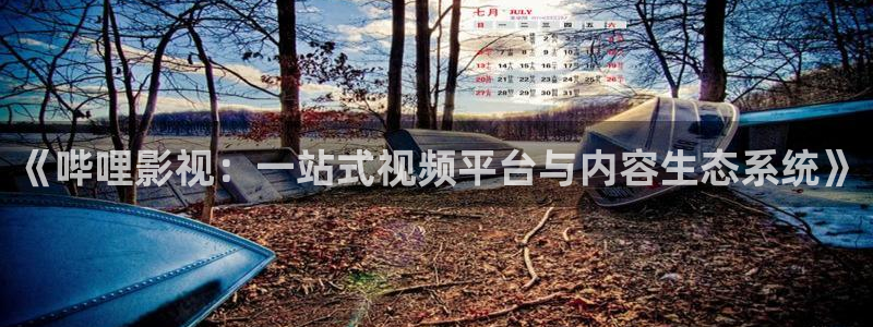 光棍电影yy111111：《哔哩影视：一站式视频平台与内容生态系统》